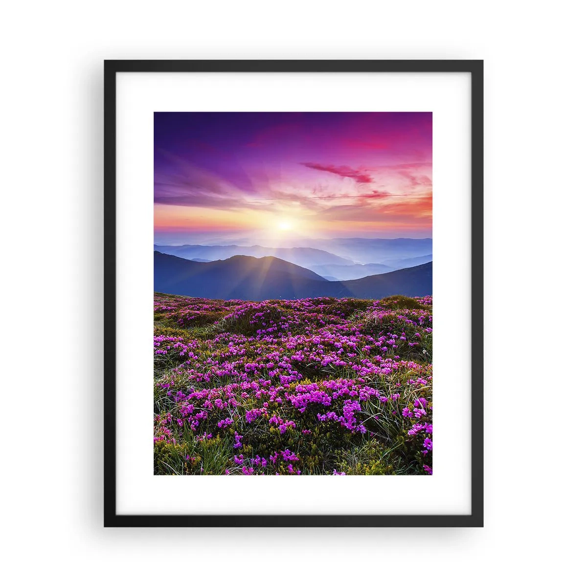 Poster in een zwarte lijst - Kruiden roken naar verse trossen van de velden - 40x50 cm