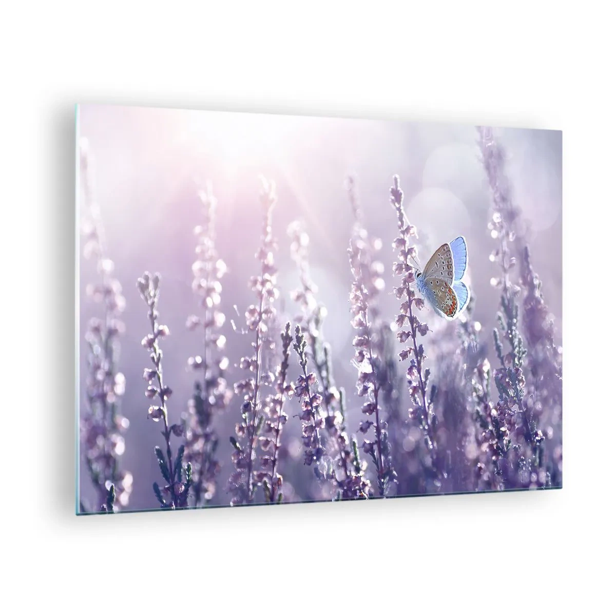 Schilderen op glas - Een vlinder in een lavendelveld in de zon - 70x50cm - Vlinder kus - Moderne wanddecoratie voor woonkamer en slaapkamer ARTTOR