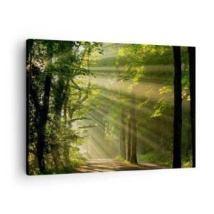 Schilderen op canvas - Bospad met zonnestralen die door de bomen schijnen - 70x50cm - Bosmoment - Moderne wanddecoratie voor woonkamer en slaapkamer ARTTOR