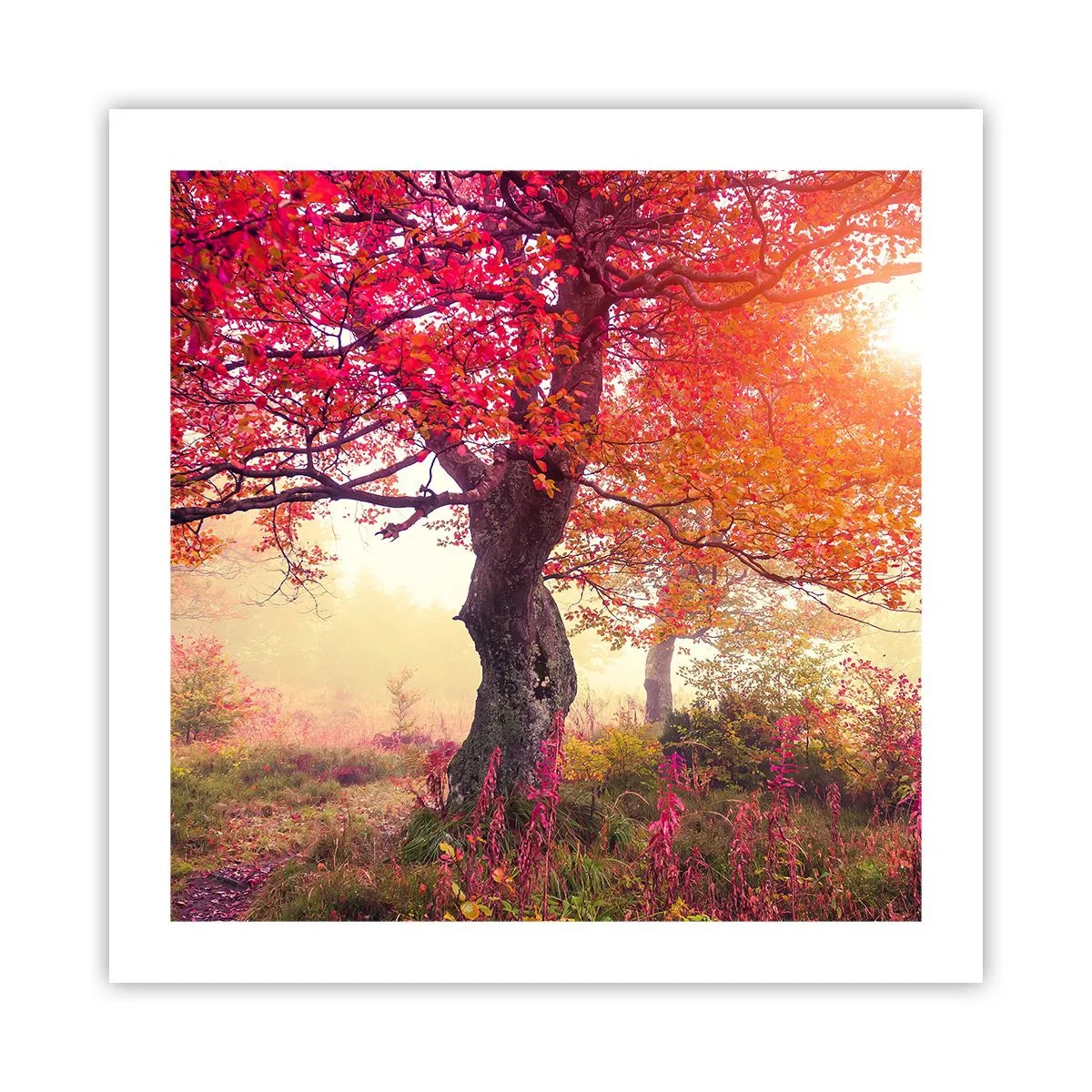 Poster - Bloeiende razernij - 50x50 cm