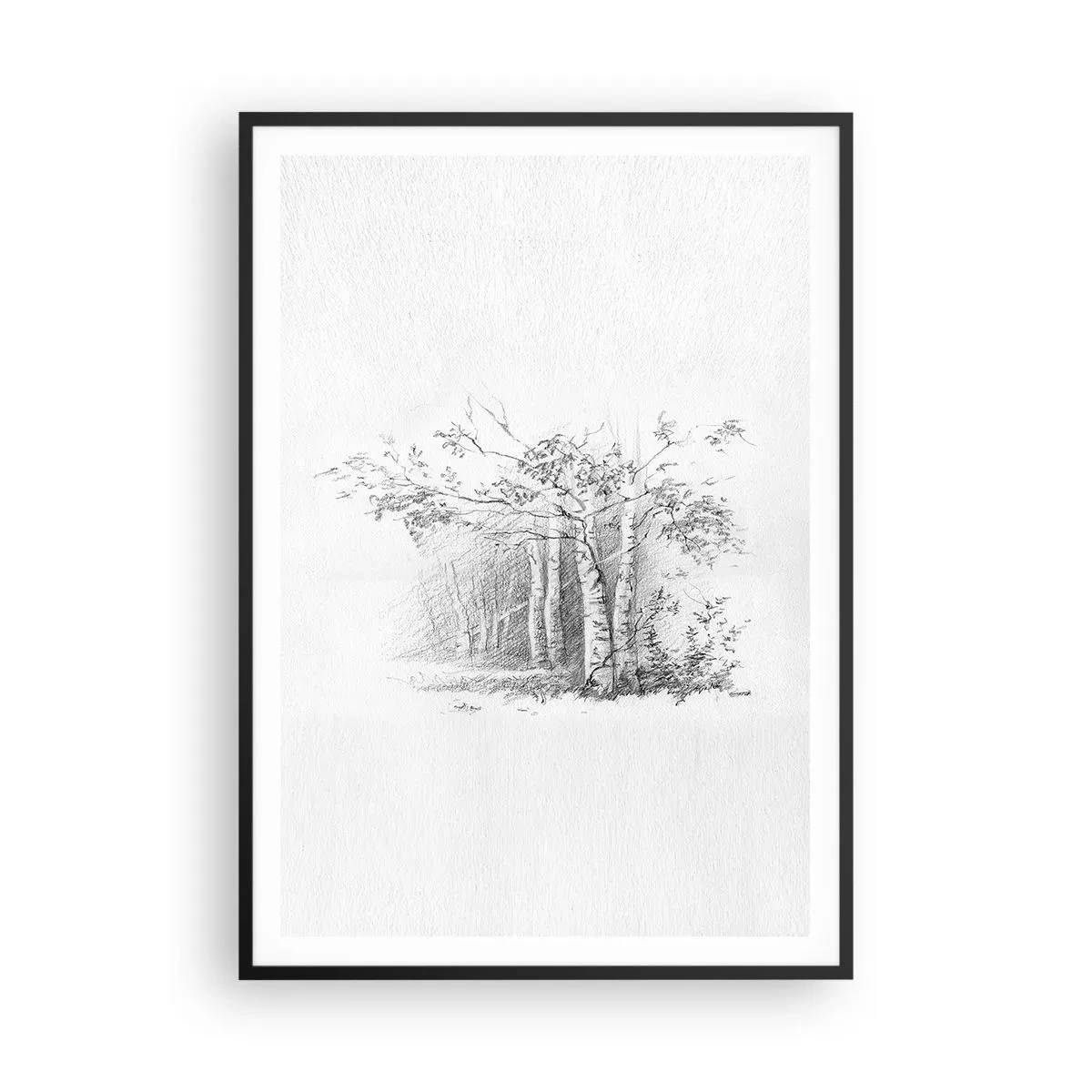 Poster in een zwarte lijst - Het licht van het berkenbos - 70x100 cm