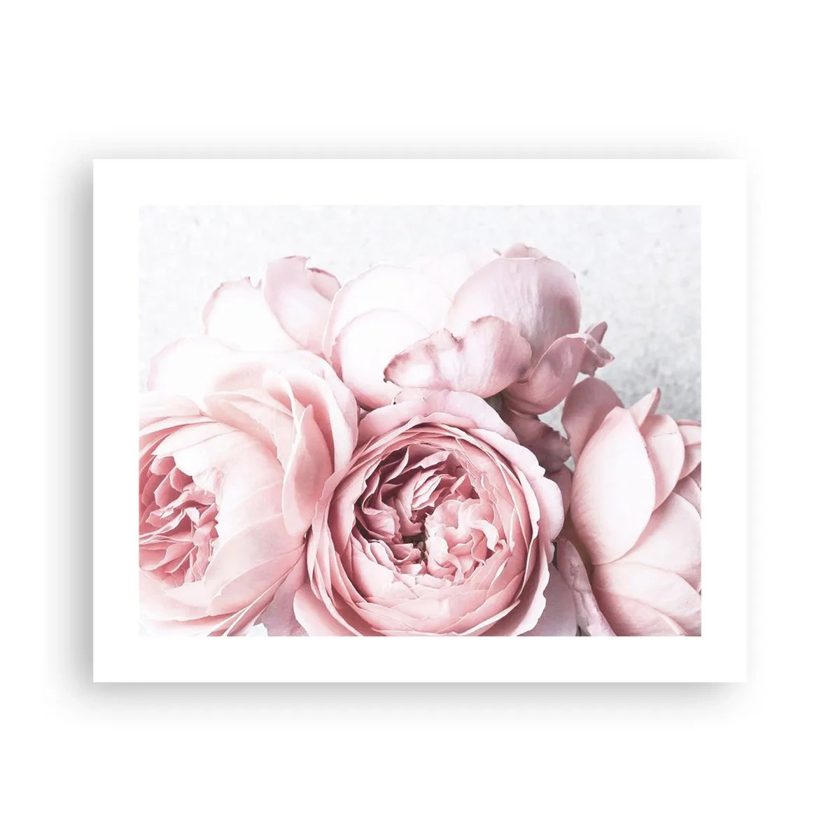 Poster - Voor romantici - 50x40 cm