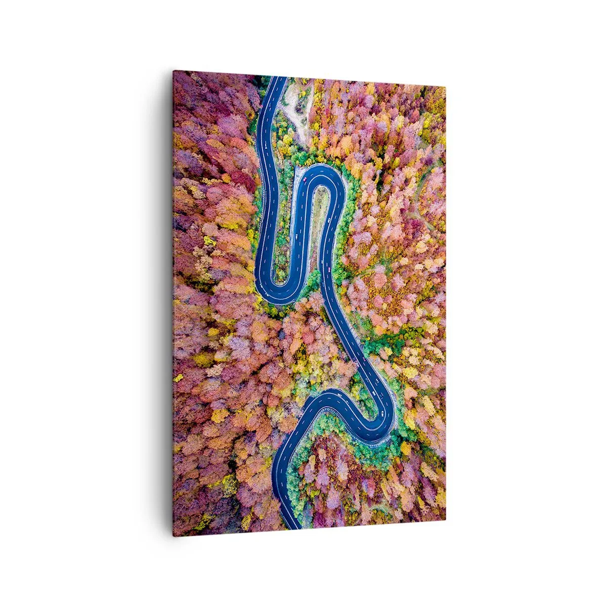 Schilderen op canvas - Een kronkelende weg door het bos - 80x120 cm