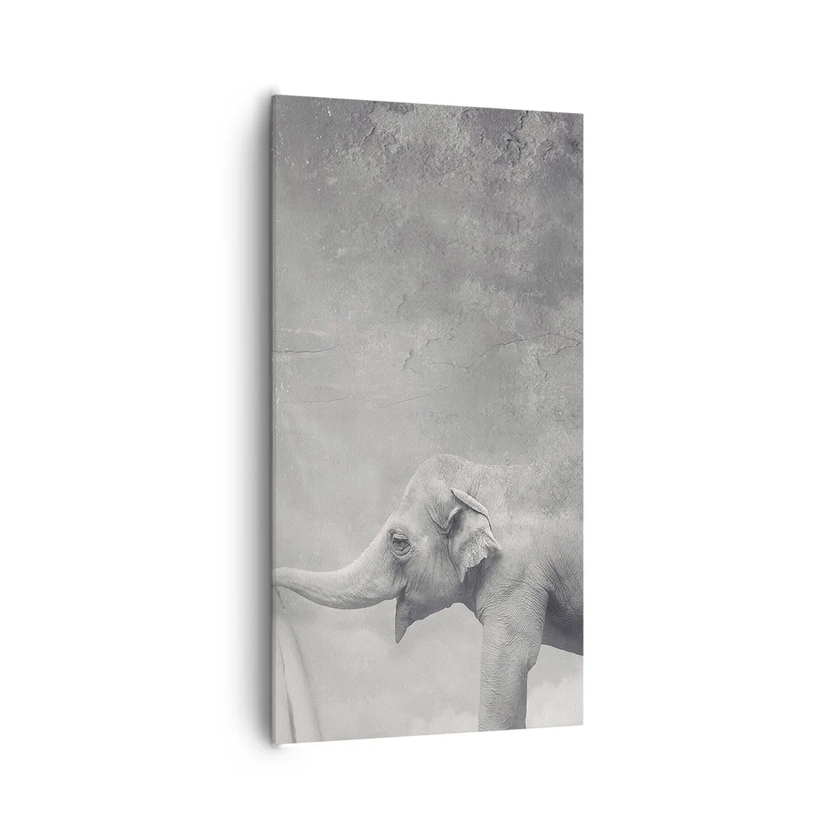 Schilderen op canvas - Onthul het mysterie - 65x120 cm