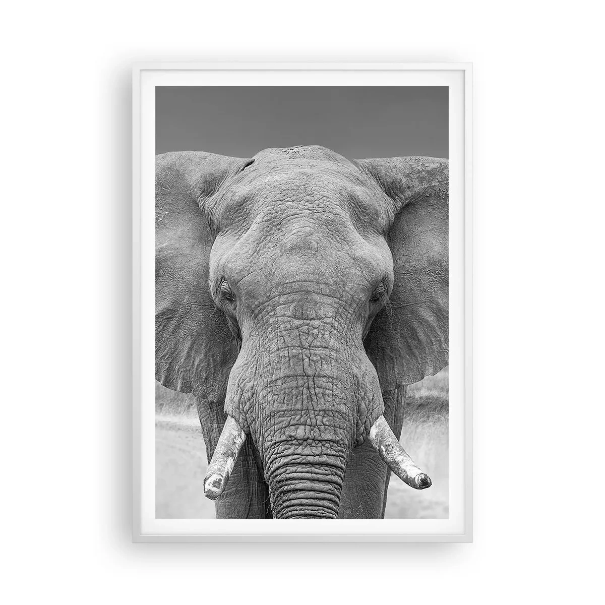 Poster in een witte lijst - Welkom in mijn wereld - 70x100 cm
