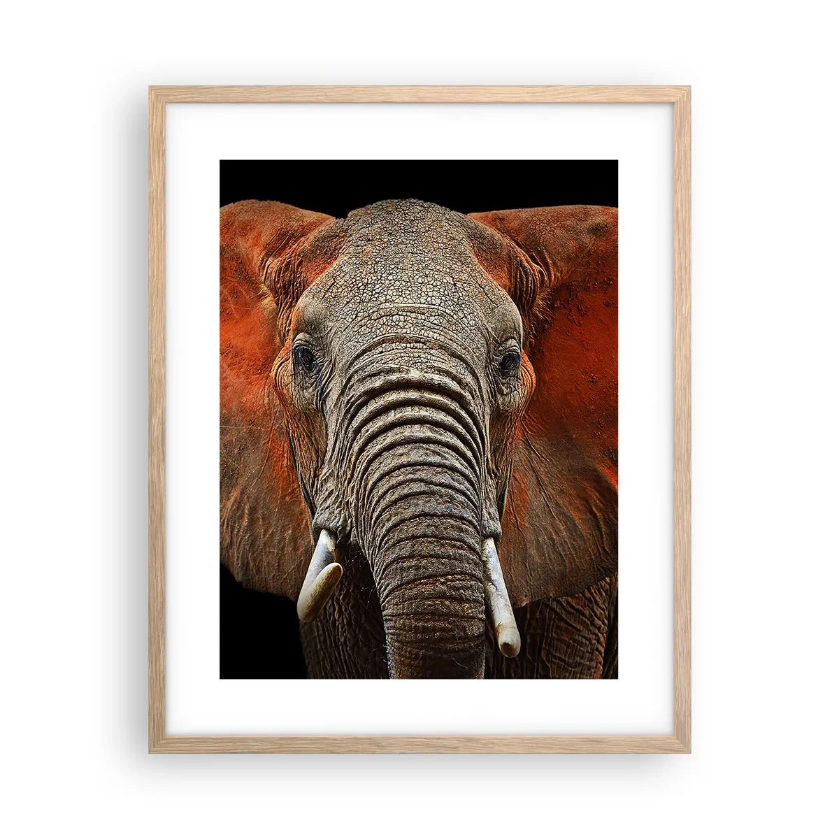 Een poster in een licht eiken lijst - Ik ben wild, en jij? - 40x50 cm