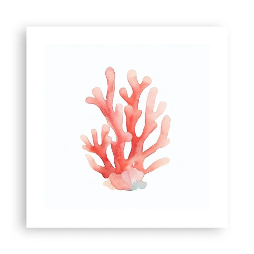 Poster - Koraalkleurig koraal - 40x40 cm
