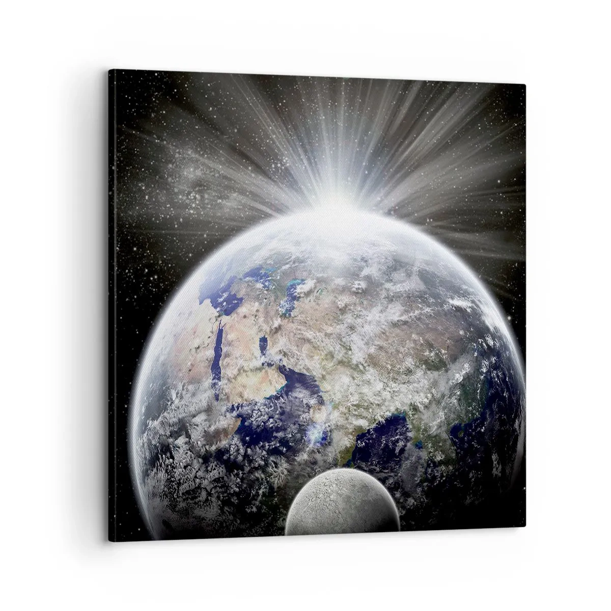 Schilderen op canvas - In volle pracht - 60x60 cm