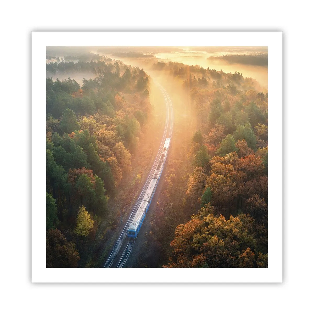 Poster - Herfst reis - 60x60 cm
