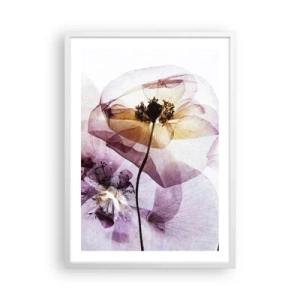 Poster in een witte lijst - Transparante lichaamsbloemen - 50x70 cm