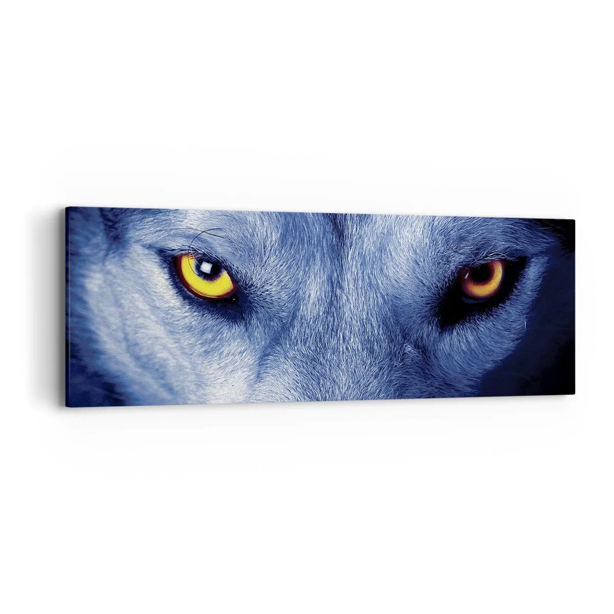 Schilderen op canvas - Betoverende look - 90x30 cm