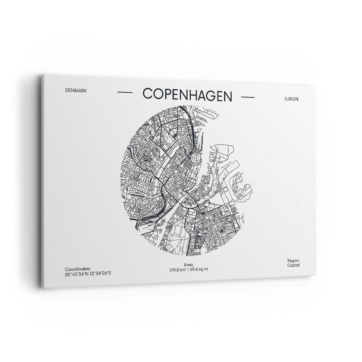 Schilderen op canvas - Anatomie van Kopenhagen - 120x80 cm