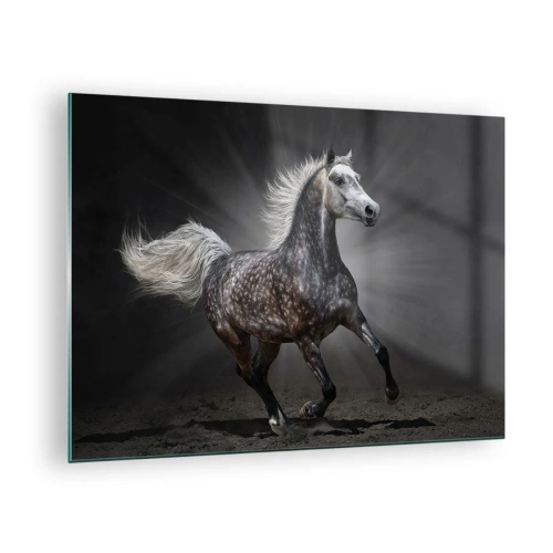 Schilderen op glas - Een galopperend paard tegen een donkere achtergrond met lichteffect. - 70x50cm - Grijs is mooi - Moderne wanddecoratie voor woonkamer en slaapkamer ARTTOR
