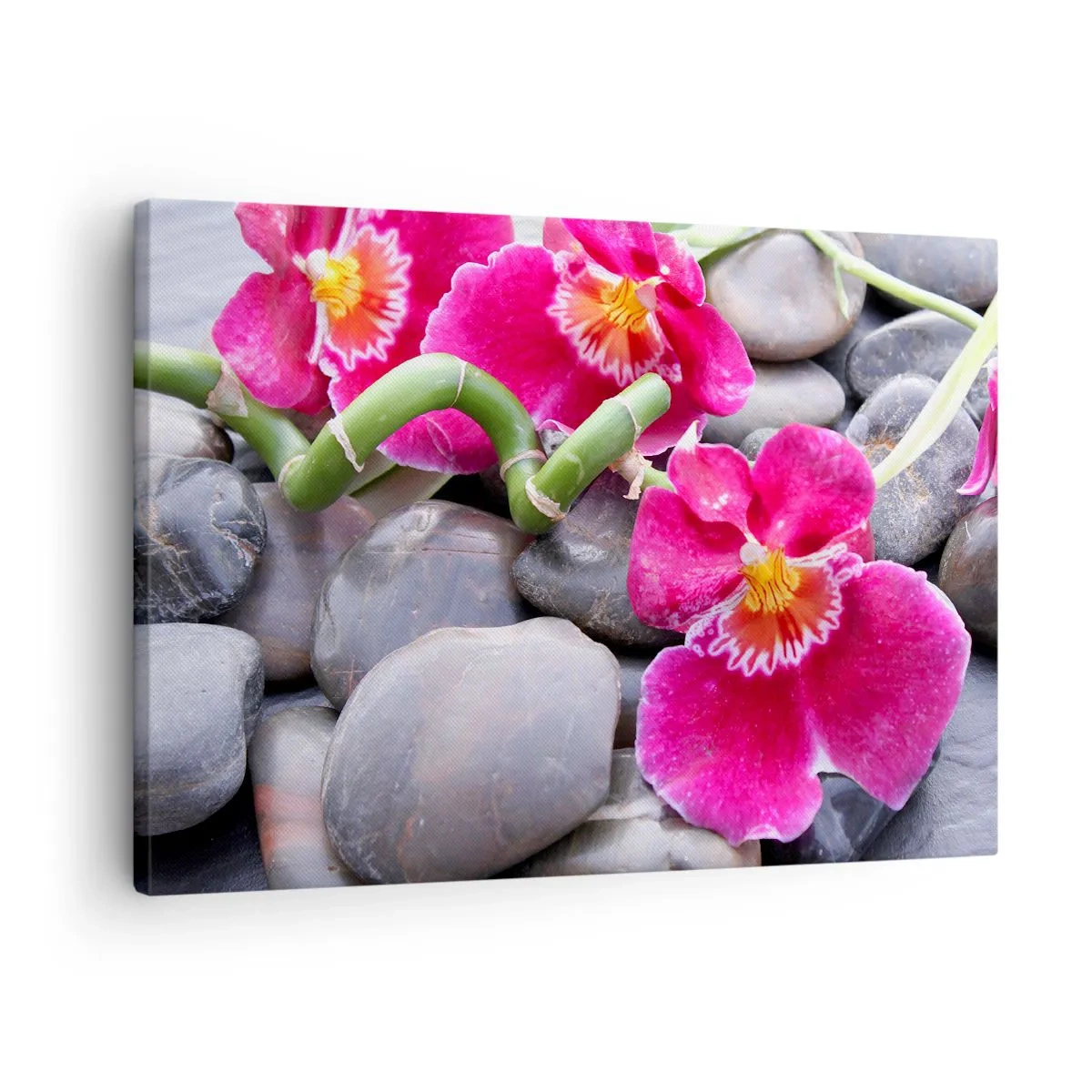 Schilderen op canvas - Roze orchideeën tegen een achtergrond van gladde stenen - 70x50cm - Kou en hitte - Moderne wanddecoratie voor woonkamer en slaapkamer ARTTOR