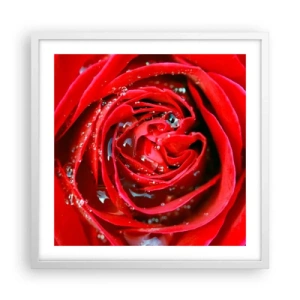 Poster in een witte lijst - In de dauwdruppels - 50x50 cm