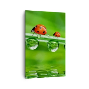 Schilderen op canvas - De hele zomer onderweg - 80x120 cm