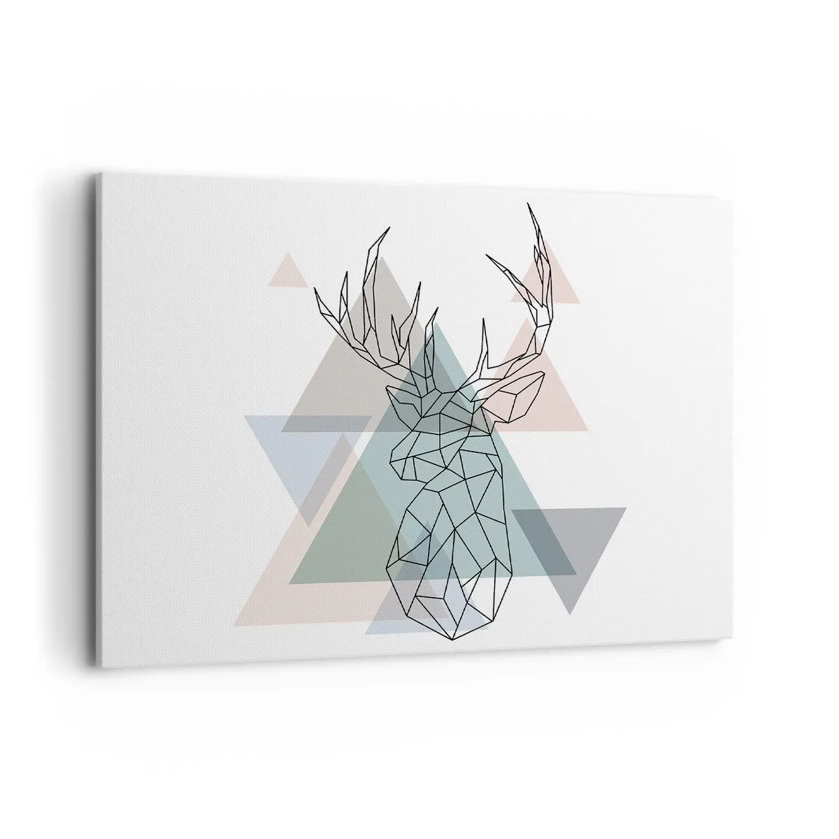 Schilderen op canvas - In een geometrisch bos - 100x70 cm