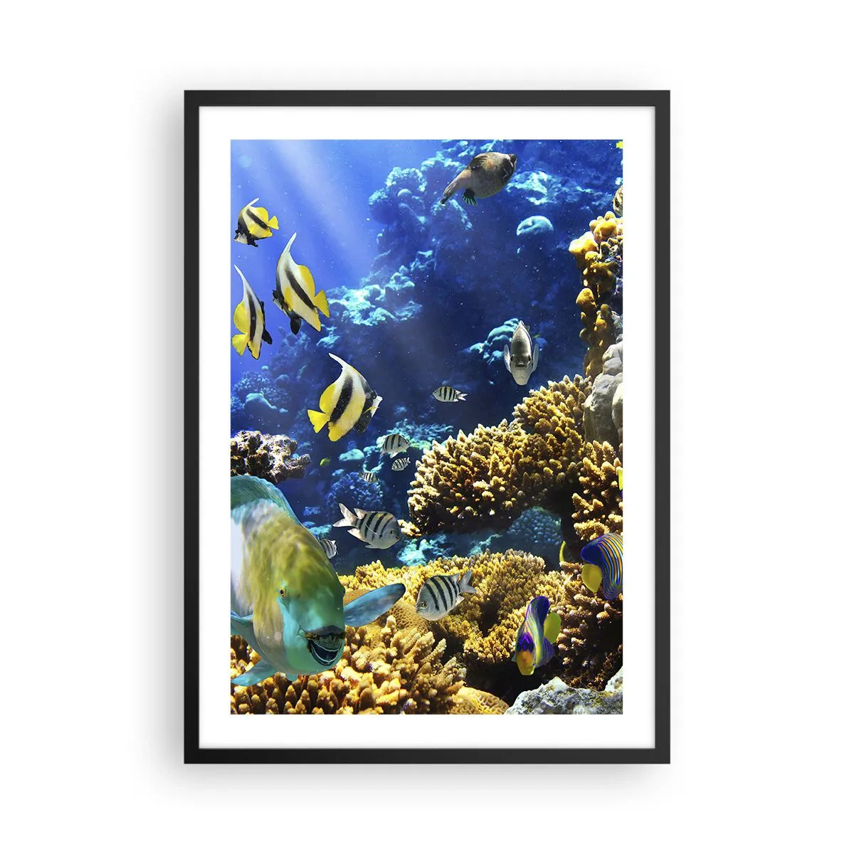 Poster in een zwarte lijst - Een onderwaterwereld met kleurrijke vissen en een koraalrif - 50x70cm - Veel verkeer op de vakantieroute - Moderne wanddecoratie voor woonkamer en slaapkamer ARTTOR