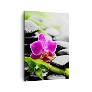 Schilderen op canvas - In een vrede evenwicht - 50x70 cm