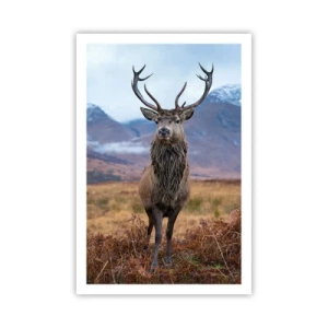 Poster - Op eigen grond - 61x91 cm