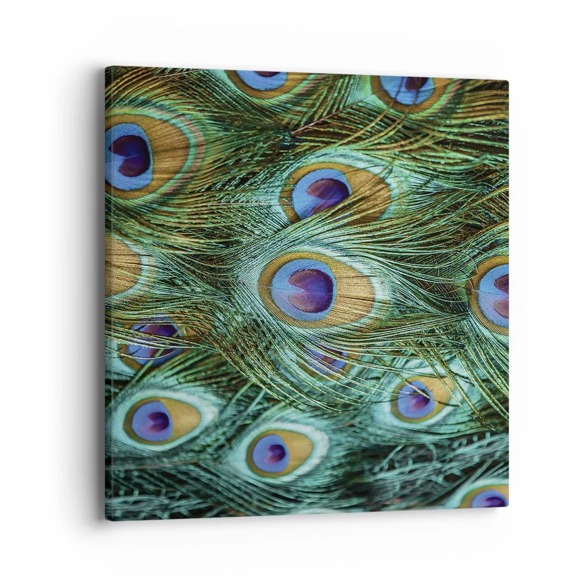 Schilderen op canvas - Een pauwenooglook - 40x40 cm