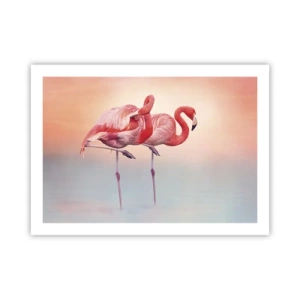 Poster - De kleur van de ondergaande zon - 70x50 cm