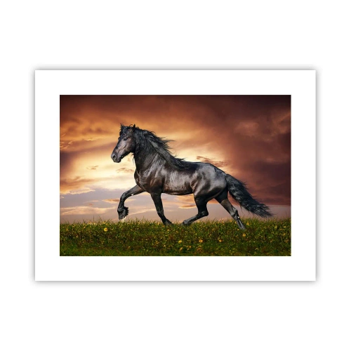 Poster - Zwarte Prins - 40x30 cm