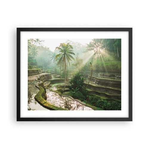 Poster in een zwarte lijst - Opgroeien in de zon - 50x40 cm