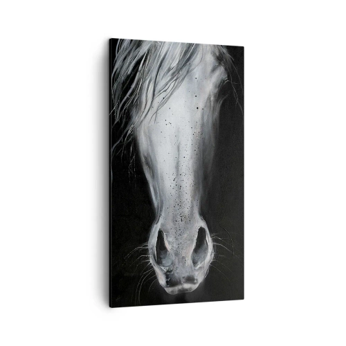 Schilderen op canvas - Verleidelijke blik - 45x80 cm