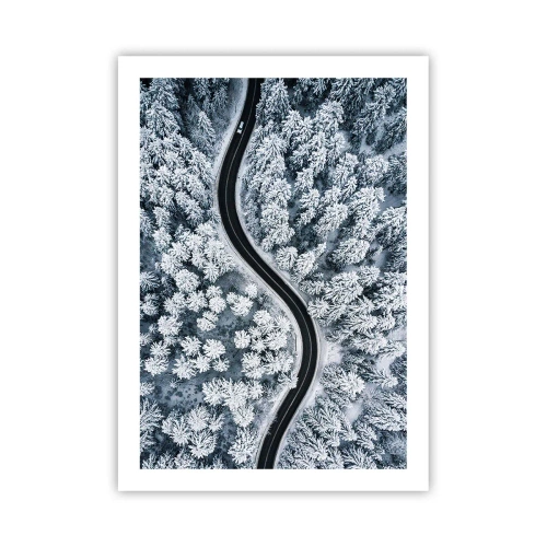 Poster - Door het winterbos - 50x70 cm