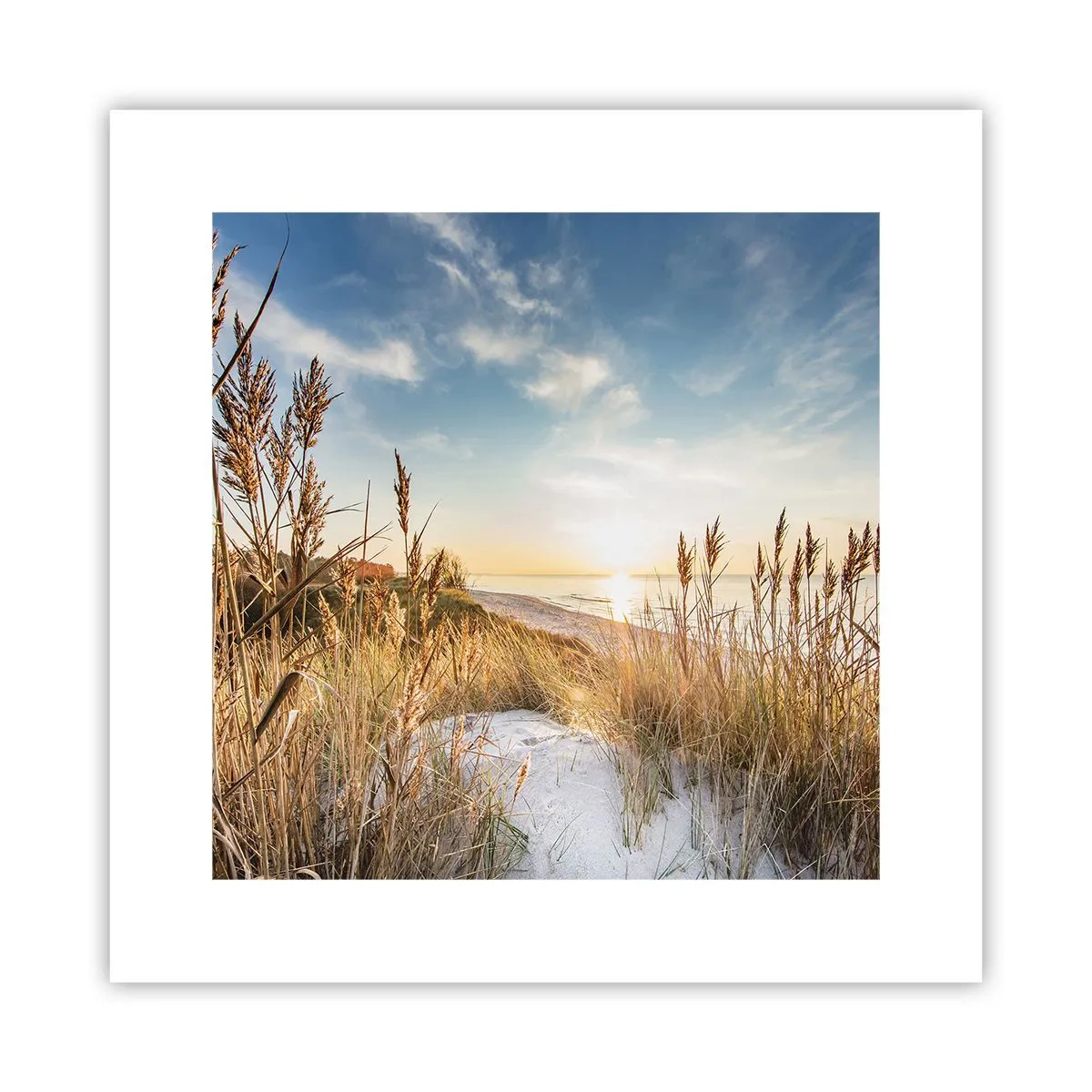 Poster - Noord strand - 30x30 cm