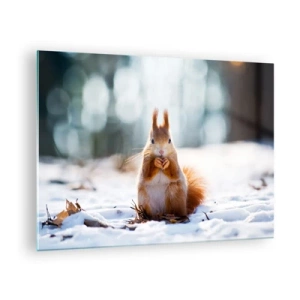 Schilderen op glas - Eekhoorn in de sneeuw met een noot in het winterbos - 70x50cm - Waar kijk je naar? - Moderne wanddecoratie voor woonkamer en slaapkamer ARTTOR