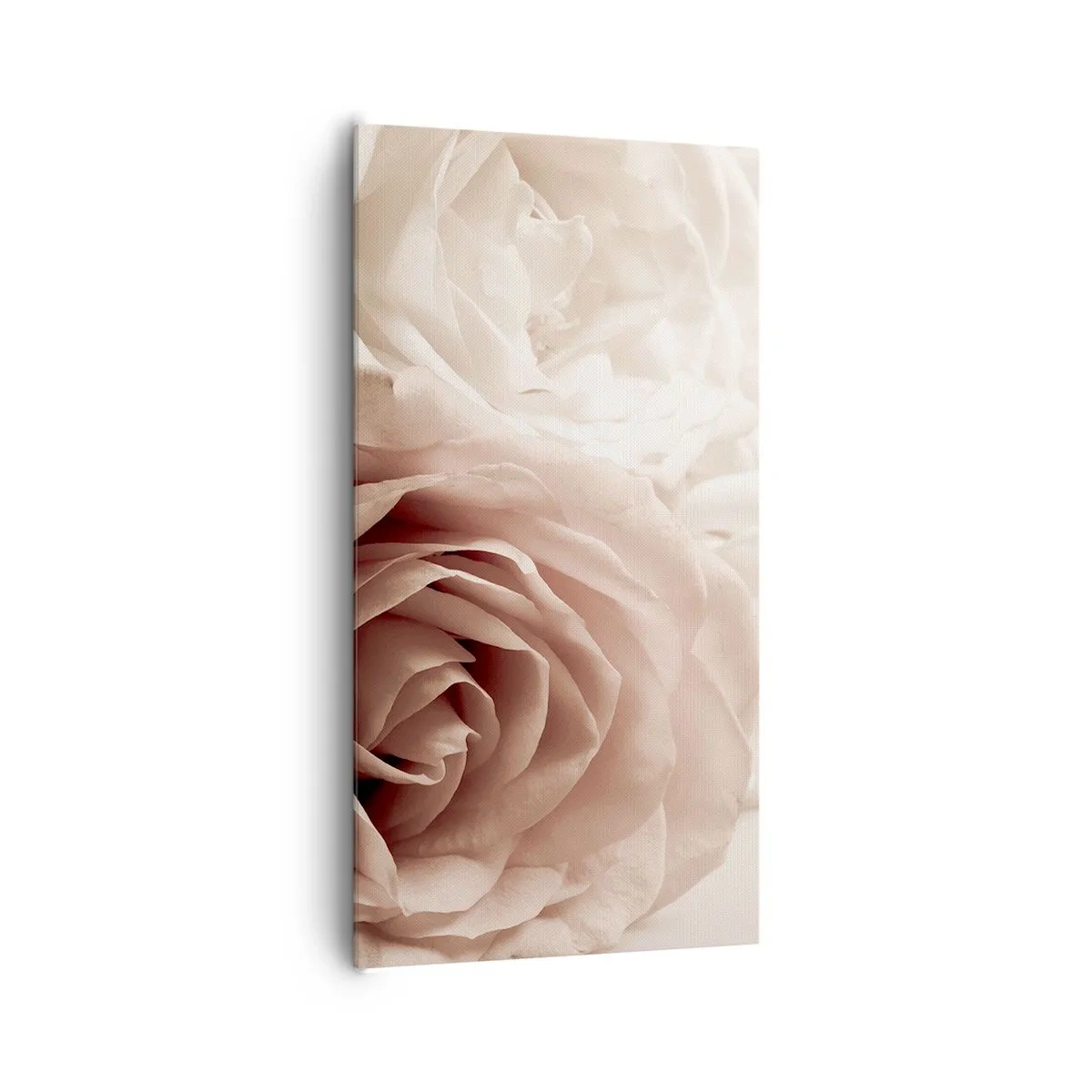 Schilderen op canvas - In het hart van een roos - 65x120 cm