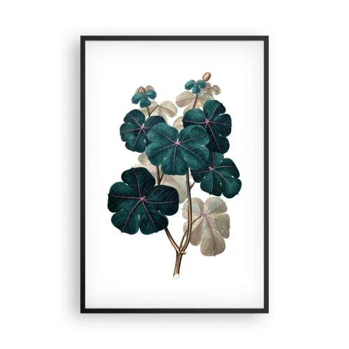 Poster in een zwarte lijst - Uit het oude herbarium - 61x91 cm