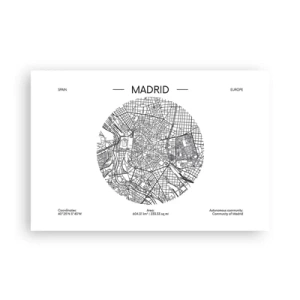 Poster - Anatomie van Madrid - 91x61 cm