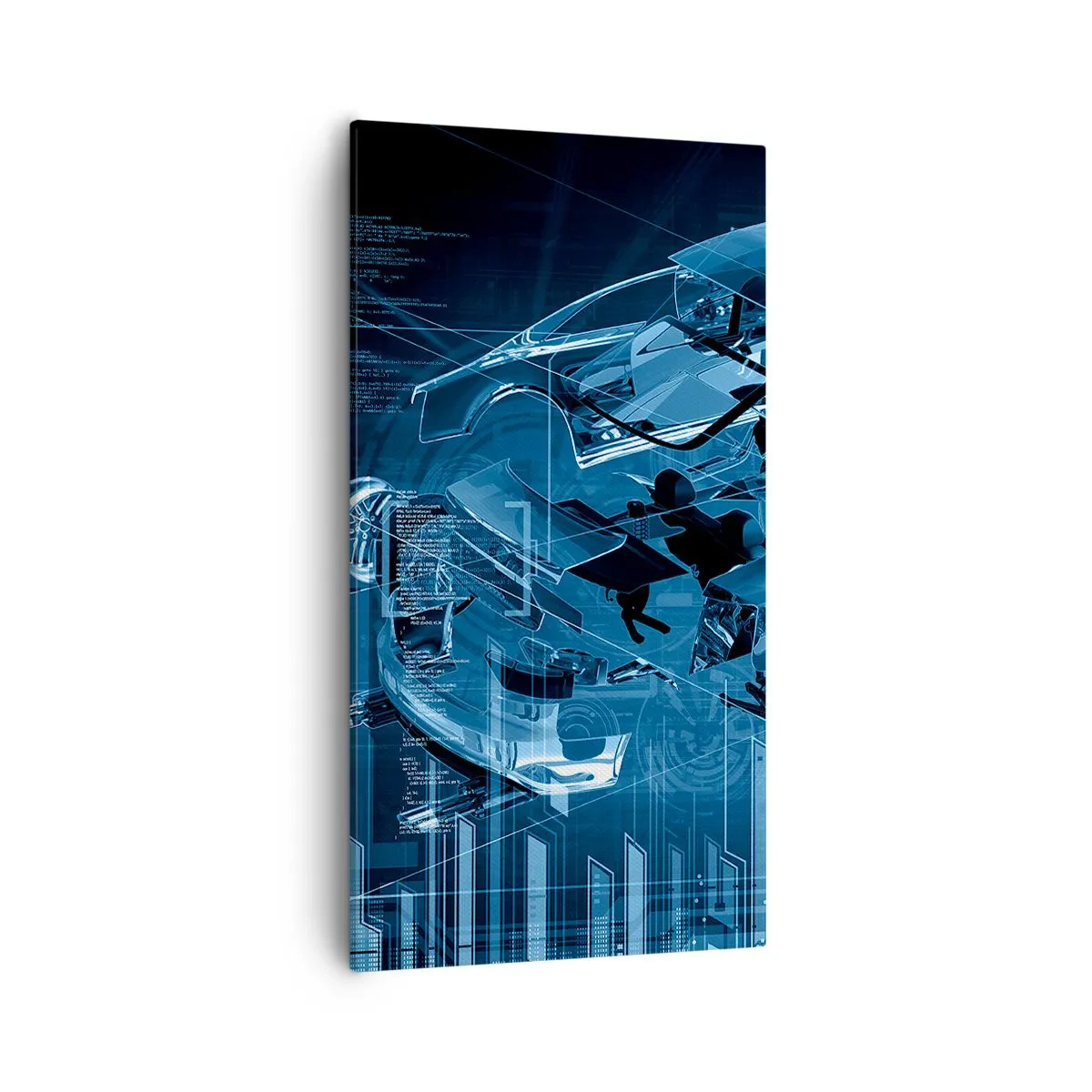 Schilderen op canvas - Technische anatomie - 55x100 cm