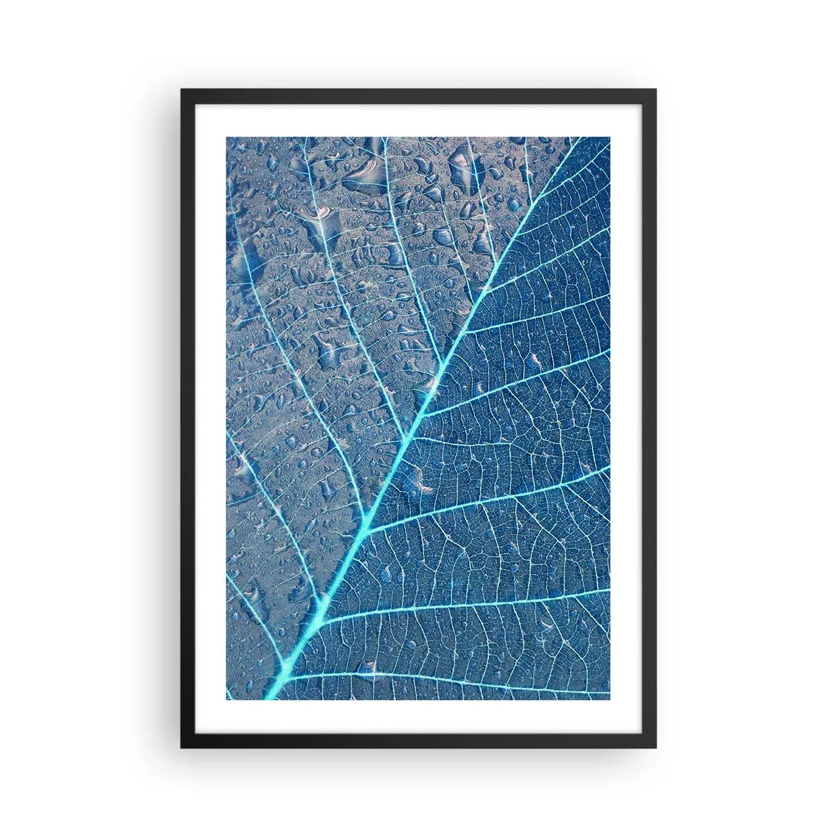 Poster in een zwarte lijst - Close-up van een blad in tinten blauw - 50x70cm - Leven in blauw - Moderne wanddecoratie voor woonkamer en slaapkamer ARTTOR