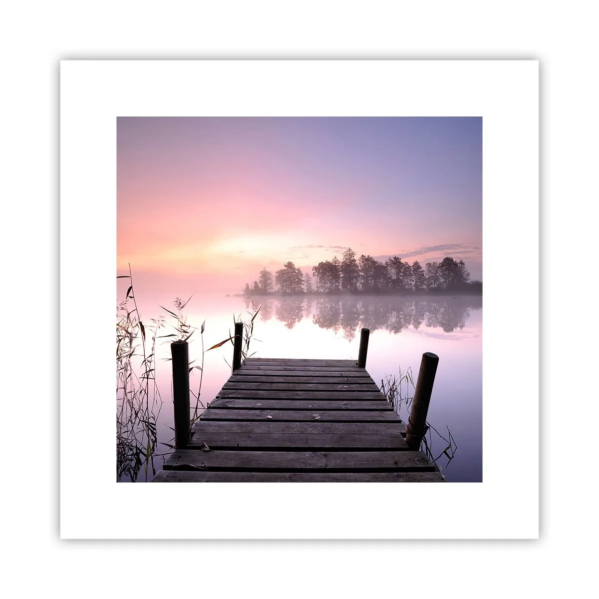Poster - Van de lila mist... - 30x30 cm