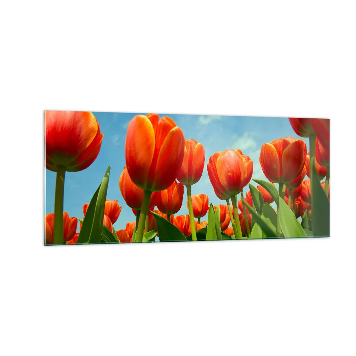 Schilderen op glas - Afgezien van de blauwe lucht hebben ze niets nodig in hun leven - 100x40 cm