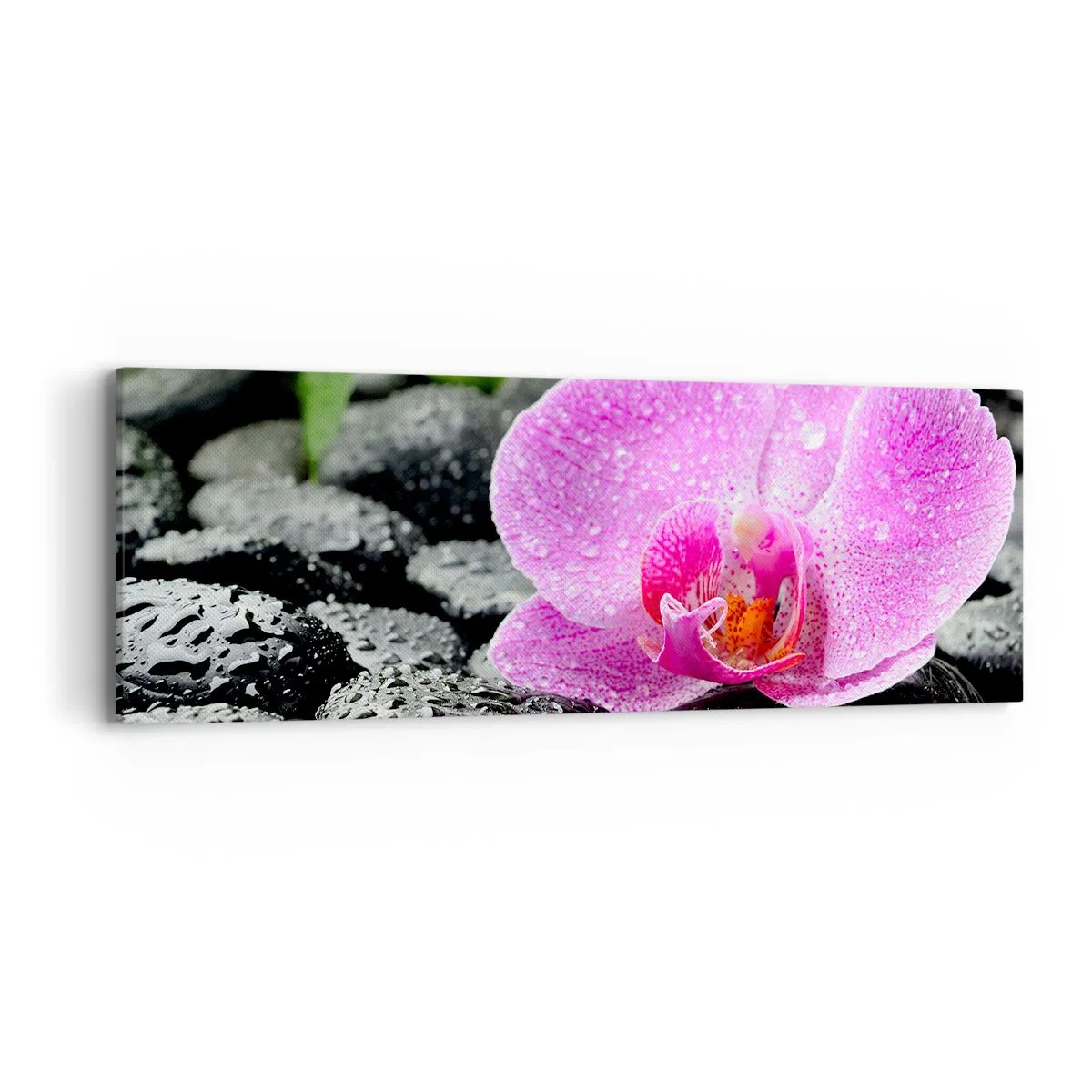 Schilderen op canvas - Als een open hart - 90x30 cm