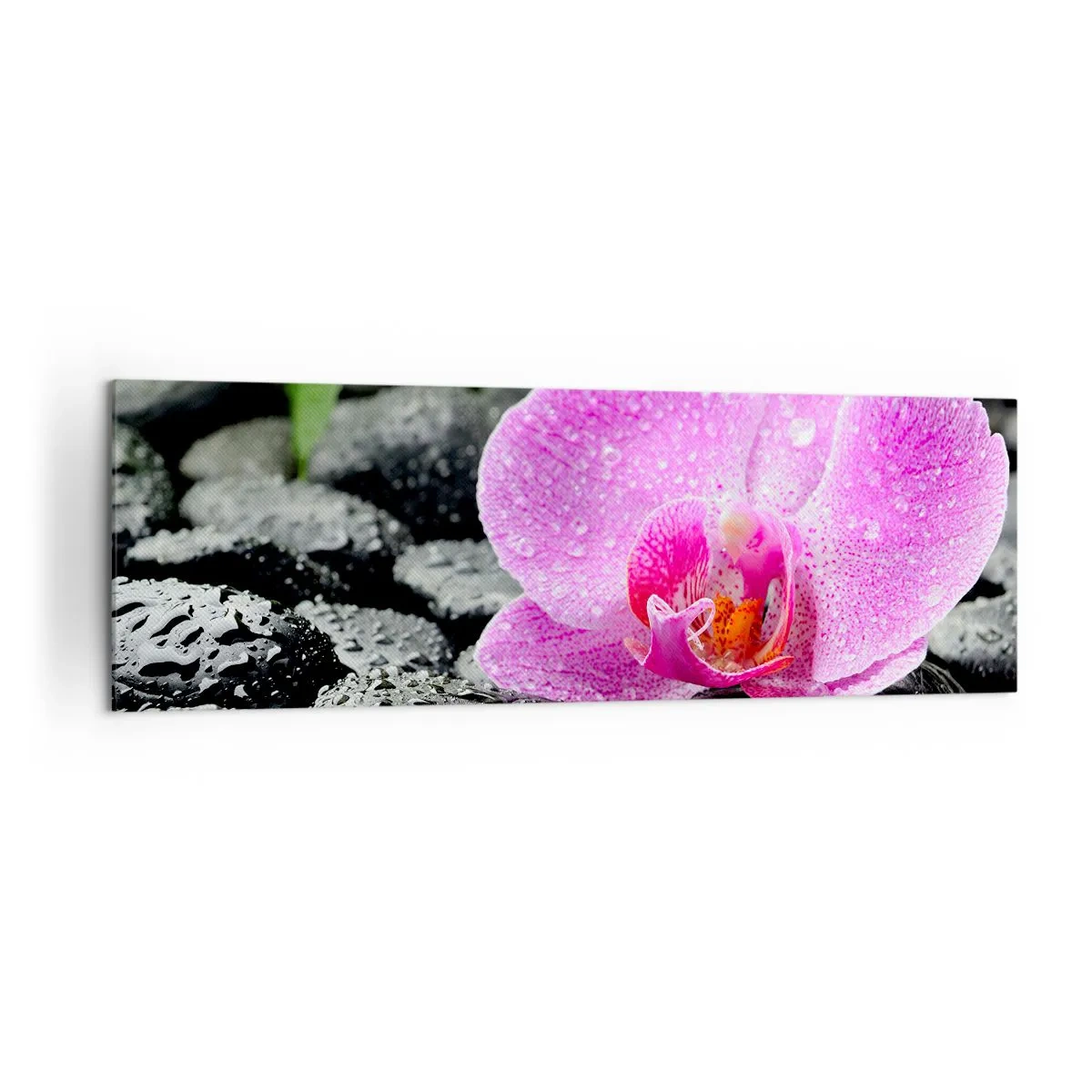 Schilderen op canvas - Als een open hart - 160x50 cm