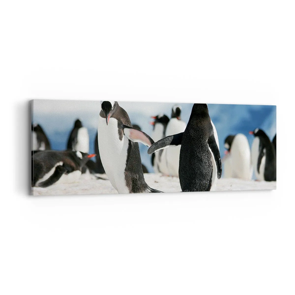 Schilderen op canvas - Dansen in de sneeuw - 90x30 cm