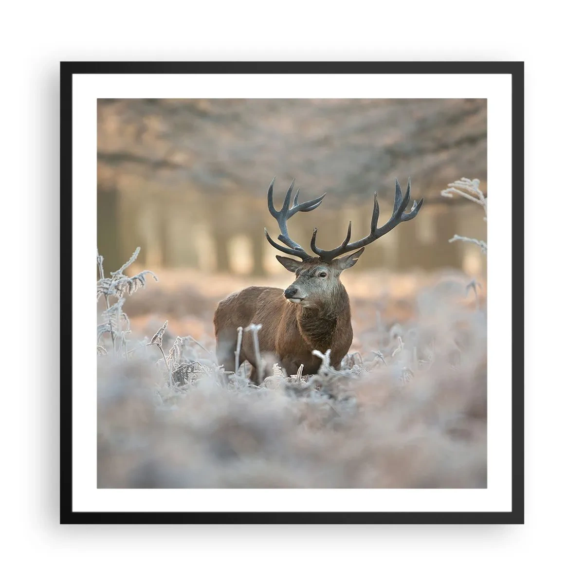 Poster in een zwarte lijst - Een frisse ochtend - 60x60 cm