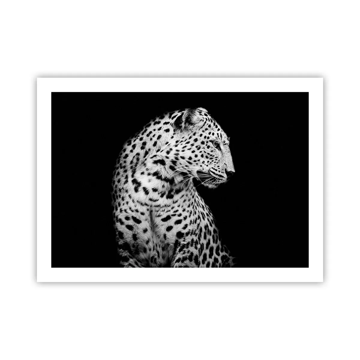 Poster - Juist profiel perfect! - 70x50 cm