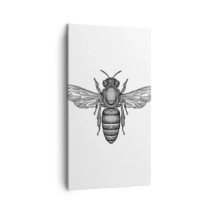 Schilderen op canvas - Insectenportret - 45x80 cm