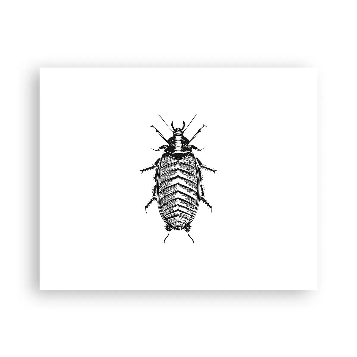 Poster - Wat een exemplaar! - 50x40 cm