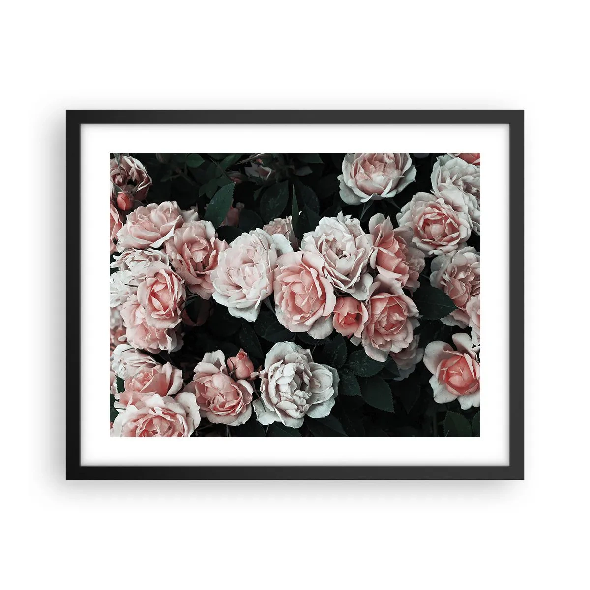 Poster in een zwarte lijst - Rozen ensemble - 50x40 cm