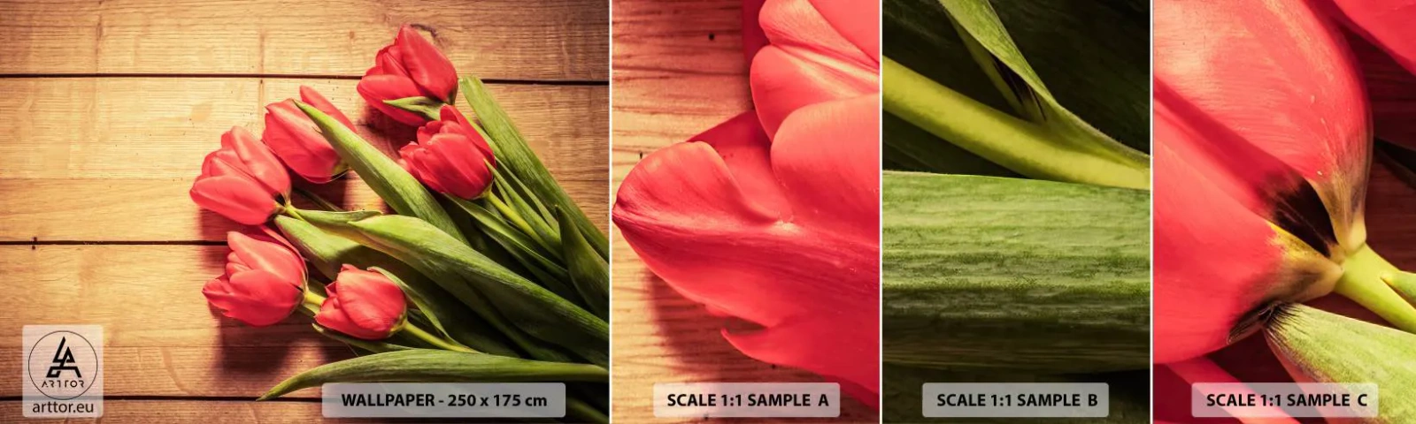 Fotobehang Staaltje Standard Eco - Lente bekentenis - Bloemen, Tulpen, Boeket bloemen - 100x30 cm