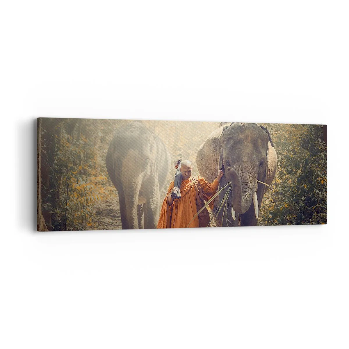 Schilderen op canvas - Volledig begrip - 90x30 cm