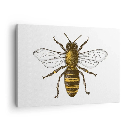Schilderen op canvas - Gedetailleerde illustratie van een bij op een witte achtergrond - 70x50cm - Mooi en goed - Moderne wanddecoratie voor woonkamer en slaapkamer ARTTOR